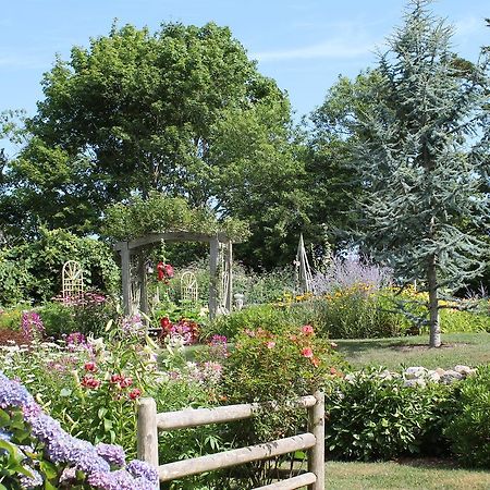 巴恩斯特布尔Lavender Bay住宿加早餐旅馆 外观 照片